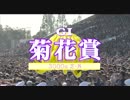 菊花賞2015