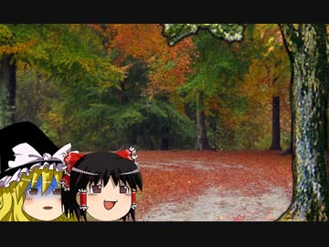 【ゆっくり実況】チャンピオンロードをてくてく歩くPart16