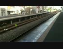 西武鉄道小平駅 特急本川越行 通過