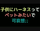 子供にハーネスってペットみたいで可哀想；；【2ch】