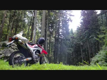 埼玉の林道に行ってみた！　その4