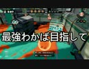 【プレイ動画】スプラトゥーンS+最強わかば目指して34【カンスト済】