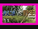 【FARCRY4】私はバカンスに来たんです。part.11