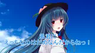 東方鉄弟愛27.5話