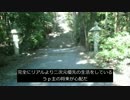 総統閣下のFate/GOプレイ日和  番外編〔ハロウィンガチャ　結果編〕