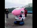 パオロン　名古屋競馬場にて２