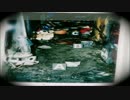【東住吉事件】青木恵子/朴龍晧【強姦放火殺人】