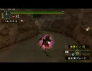 MHP2 最後の招待状 弓 3分31秒