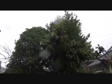 【環境音】　雨　土砂降り