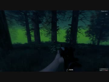 H1Z1 一人称バトルロイヤル 一位