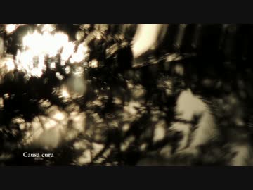 【オリジナル曲】Causa cura -不安の種-