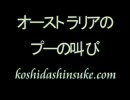 サーフィンがどううまくなるか?　Ｐａｒｔ１７
