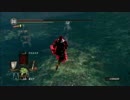 ダークソウル　森で修行　3