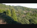 【オリジナル曲】 D：dur 【作業用ＢＧＭ】