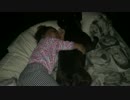 【赤ちゃんと犬】全力で犬とくっついて寝たい赤ちゃん