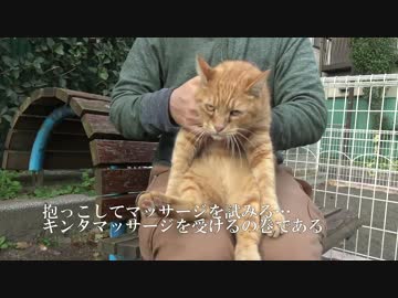 キンタマッサージを受ける