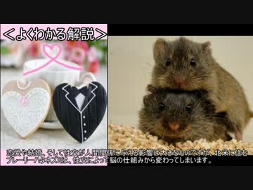 ゆっくり動物雑学「交尾をして初めて…」