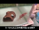 ウーちゃんの成長記録part19