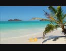 【吹奏楽のアレンジ】　宝島　～ピアノのための～