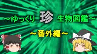 ～ゆっくり　珍　生物図鑑～　新・番外編【6】