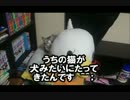 犬みたいな猫