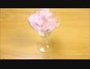 ダミーヘッドで実験【お菓子】