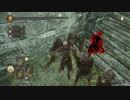 【パリィ回復縛り】ダークソウル2 chapter4：朽ちた巨人の森・中編