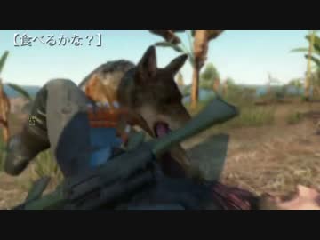 【MGSV:TPP】簡易ピタゴラスイッチ　世界を飛び回った漢の真実