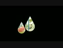【りりやん】drop pop candy【踊ってみた】