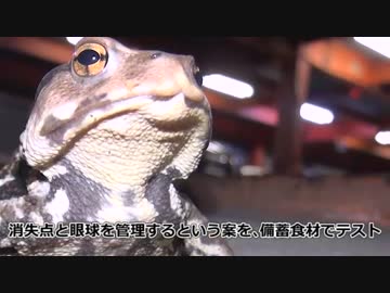 そうだ､なんかイジろう 009/車載カメラ for モトブログ改 1