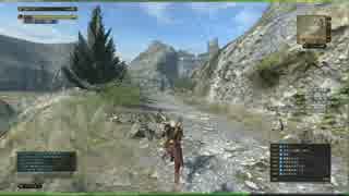 DDON 画質テスト　