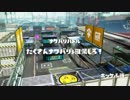 Splatoon CSR内戦 Eチーム vs Aチーム アナ視点