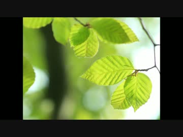 【ニコラップ】キリツ、レイ、キレツ【AllZone】