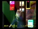 くまうた　（311）　「今月の新衣装四」　唄：嵐山クマ男