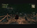 【DDON】ドラゴンズドグマオンライン忙しい人のAP稼ぎ【リンウッド】