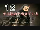 【ゆっくり】矢は筋肉で出来ている DARK SOULS Ⅱﾊｲｽﾍﾟ版 12【絶望】