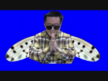 ハエsyamuBB