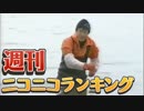 週刊ニコニコランキング #443