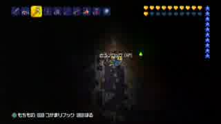 【テラリア】日刊・テラリア実況　その９０３【公式企画参加】