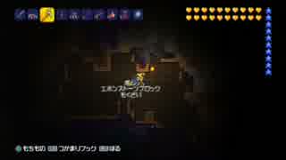 【テラリア】日刊・テラリア実況　その９０４【公式企画参加】
