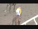 【競馬】2015年 JBCクラシック コパノリッキー【JpnⅠ】