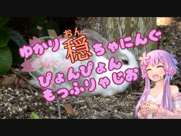 小動物がしゃべるだけ　005　