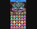 【パズドラ】ヴォルスーン降臨(海龍王)絶地獄級　光ラーPT