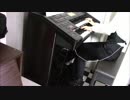 エレクトーン演奏【亡き王女のためのパヴァーヌ】