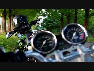 づっ！ヅっ！ヅッさん！　HONDA CB400SF メタセコイア並木にて