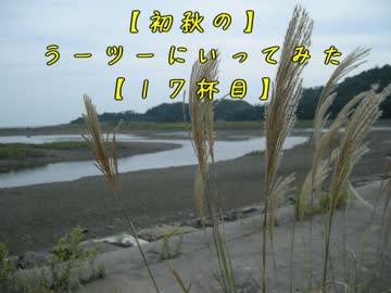 【初秋の】ラーツーにいってみた【１７杯目】