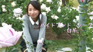 ハイドアンド・シーク　踊ってみ茶。