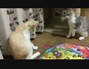 ロビン＆スカー久々のお戯れ