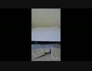 ポケモンシールでレート１６００part0