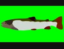 魚GB.uo